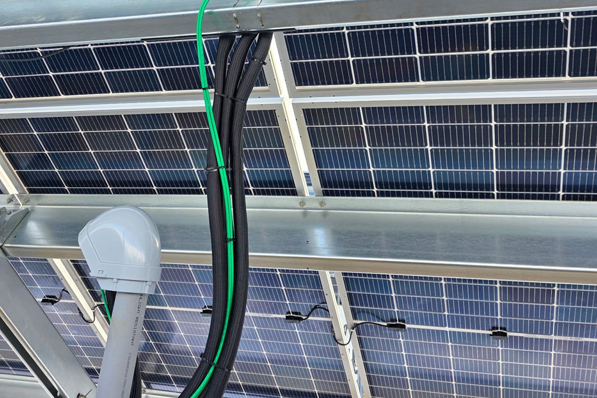 2026 Winthrop Turkey Lane