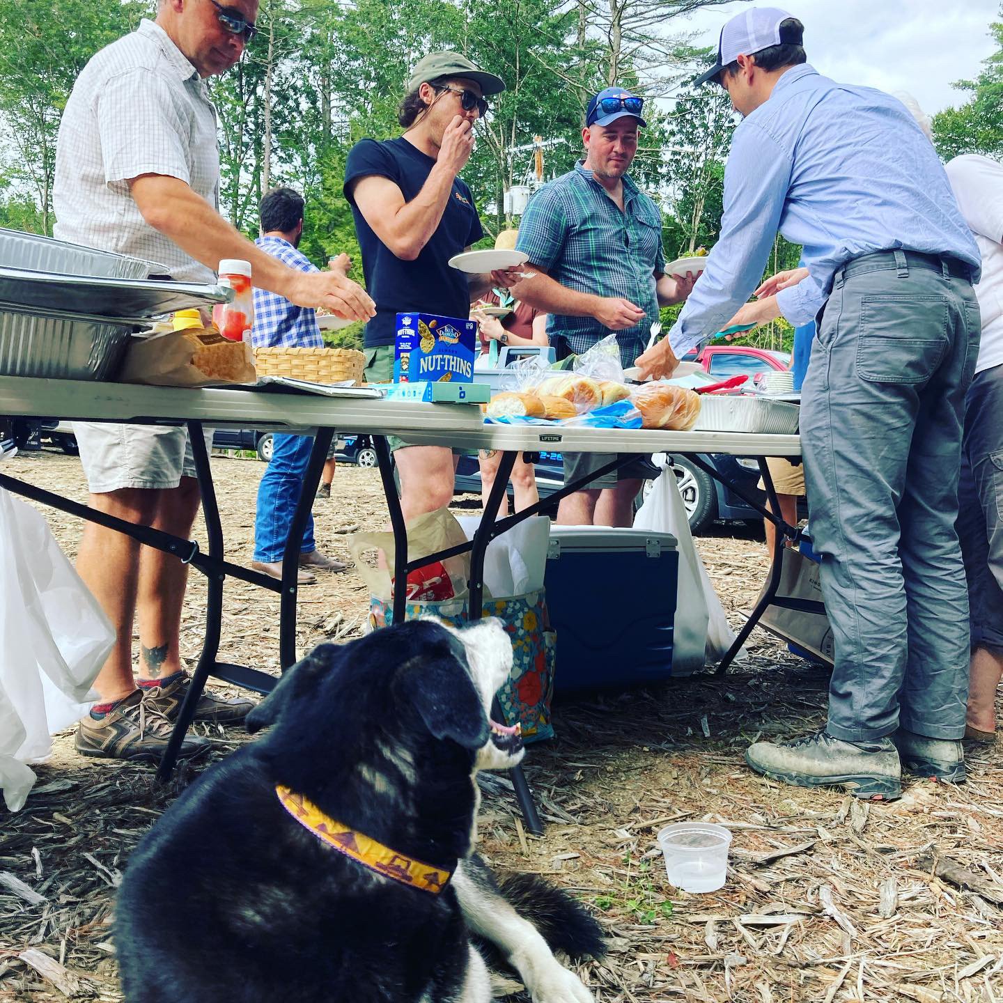 DogFriendlyCompanyMeeting