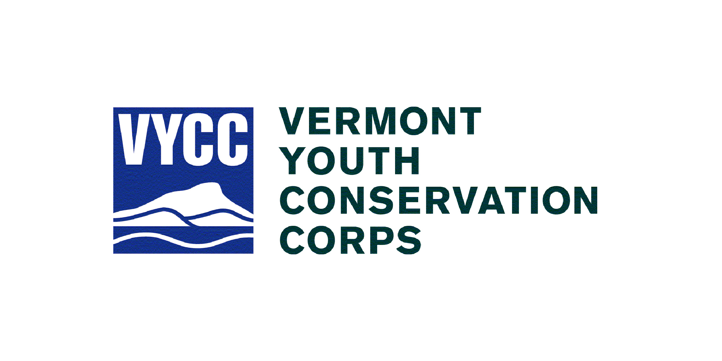 partner-logos-VYCC
